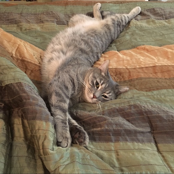 Meet your Posher, Roxanne - Picture 10 of 15